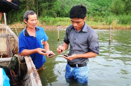 kiểm tra ngao nuôi