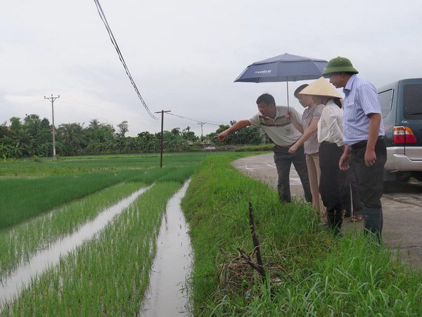 kiểm tra ngập úng