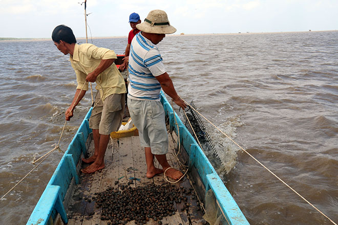 kiểm tra sò huyết