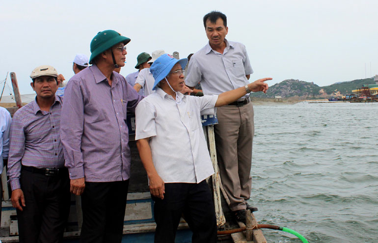 kiem tra tinh hinh ho tom