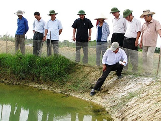 kiểm tra tôm chết