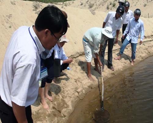 kiểm tra tôm chết