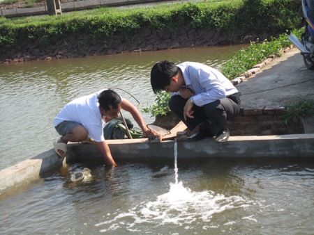 kiểm tra tôm giống