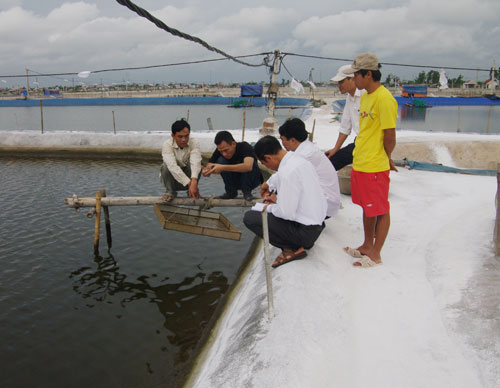 kiểm tra tôm nuôi