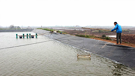 kiểm tra tôm trong mùa đông