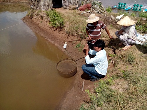 kiểm tra tôm