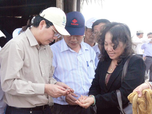 Ông Cao Đức Phát (người thứ nhất bên trái) - Bộ trưởng Bộ NN & PTNT khảo sát tình hình nuôi tôm chân trắng ở xã Thừa Đức (Bình Đại).