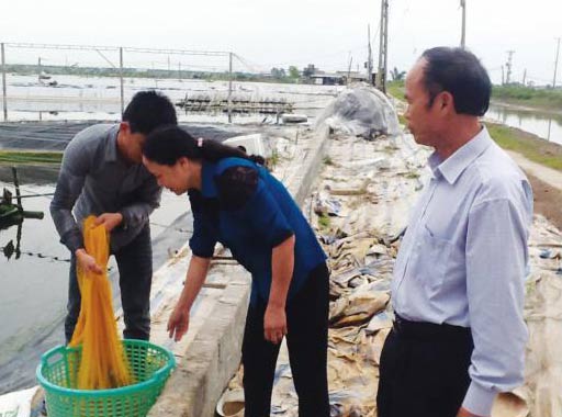 kiểm tra chất lương tôm