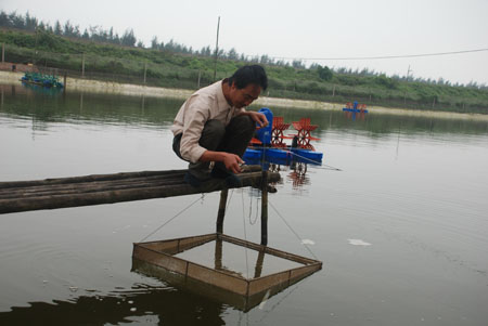 Anh Cường kiểm tra nước ao nuôi tôm.