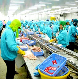 kim ngach xuat khau ca tra