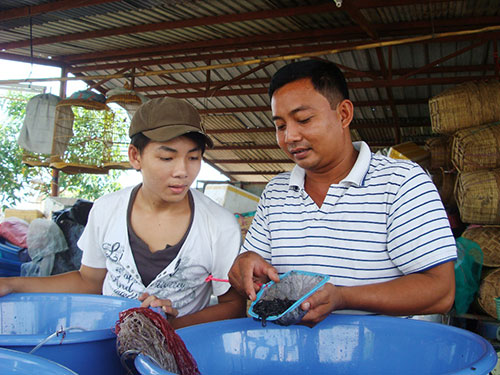 ương lương bột