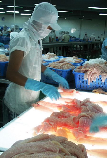 kiểm tra phi lê cá tra