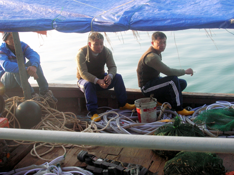 Cần tăng cường ngăn chặn khai thác thuỷ sản bằng máy bơm tạo áp lực lớn