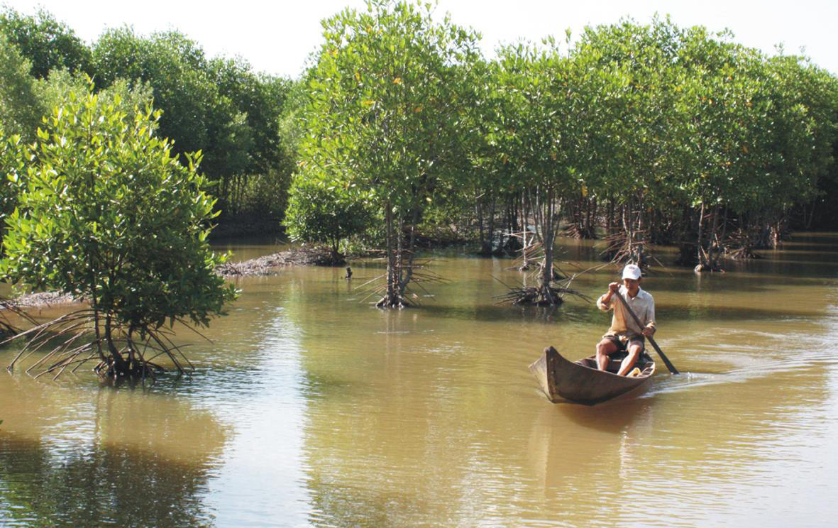 kỹ thuật nuôi tôm sinh thái trong rừng ngập mặn