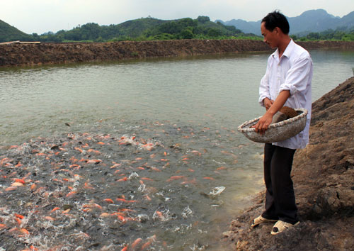 Cánh đồng Lút hoang hóa giờ đã trở thành trang trại tổng hợp mang lại nguồn thu nhập cao - Ảnh: Ngọc Minh