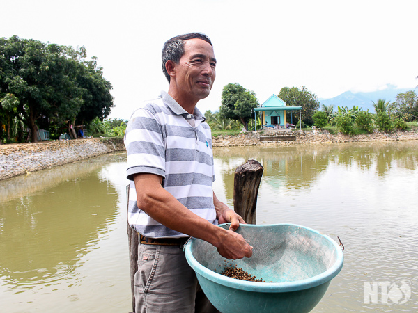 Làm giàu từ mô hình nuôi cá trên đất đá