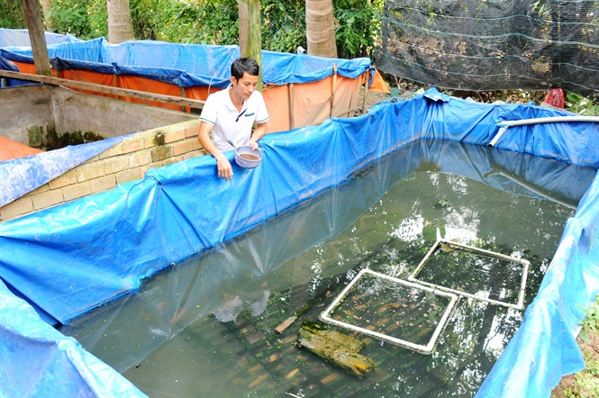 làm giàu nhờ lươn