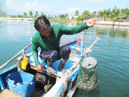 lặn bắt còng