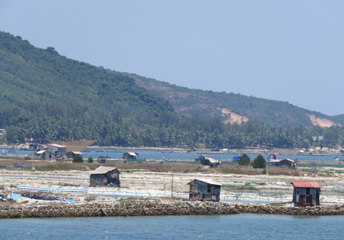 lấn chiếm rừng