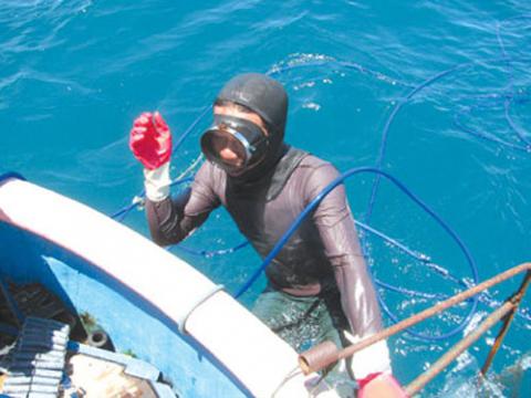 Lặn chình. Ảnh: A.T