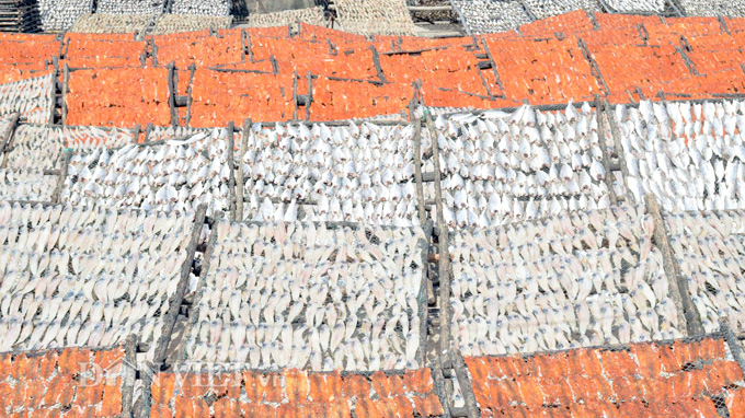 Làng khô xứ biển Cái Đôi Vàm vào vụ Tết 2018 đẹp như tranh