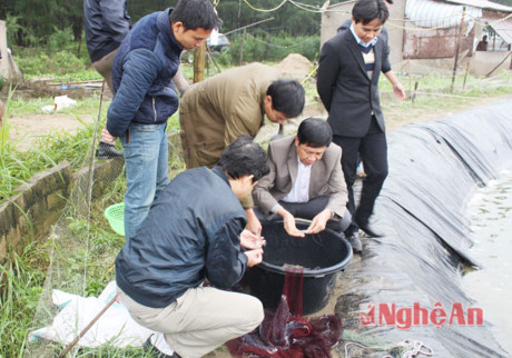 lãnh đạo kiểm tra tôm