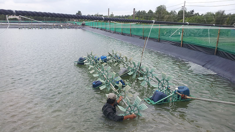 Máy tạo Oxy đáy nuôi tôm đầu tư kinh tế hiệu quả cao trong nuôi tôm siêu  thâm canh