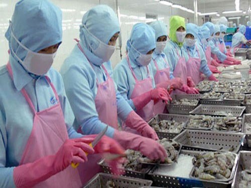 lấy chỉ tôm