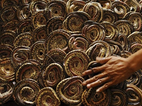 Lò giết mổ rắn ở Wakira, Indonesia.