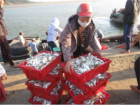 lộc biển