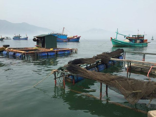 lồng cá biển