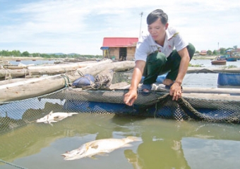 lồng cá