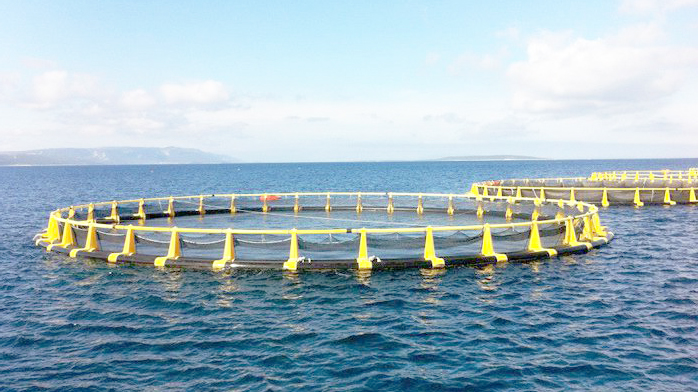 Giải pháp nuôi biển bằng lồng nhựa HDPE
