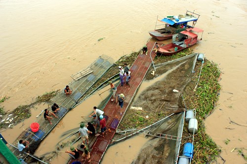 lồng nuôi cá