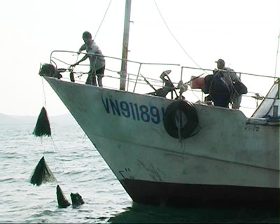 bẫy tôm hùm, Bình Thuận