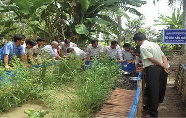 Lớp tập huấn đang thực hành cách thu trứng lươn trong bể.