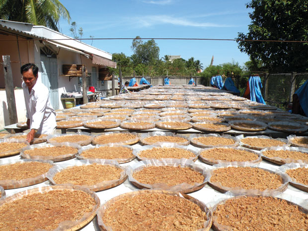 Mắm ruốc làm theo cách truyền thống, ở thị xã Gò Công.