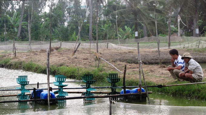 mạng nhiện điện