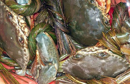 ma thang cua bien xuat sang trung quoc