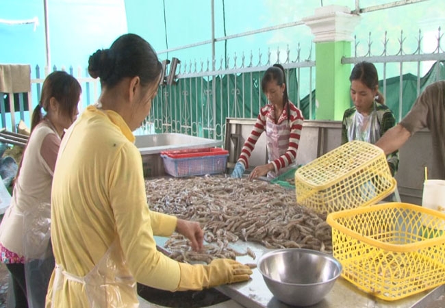 mặt hàng tôm nguyên liệu