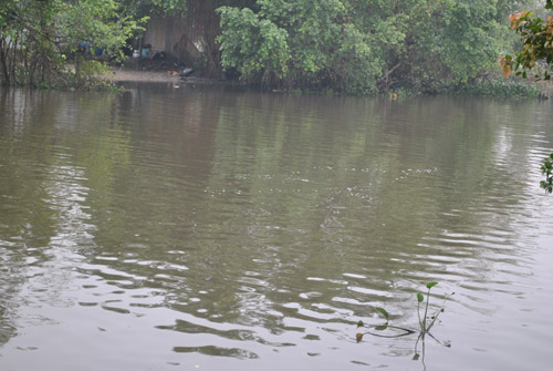 mặt sông nổi bọt