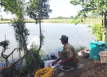 máy bơm tạo oxy