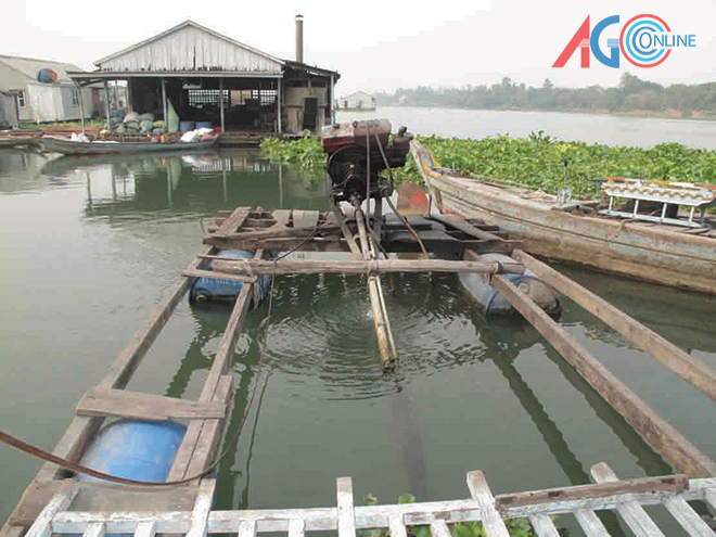 máy đạp nước