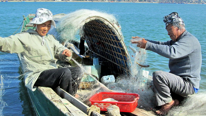 mẻ cá