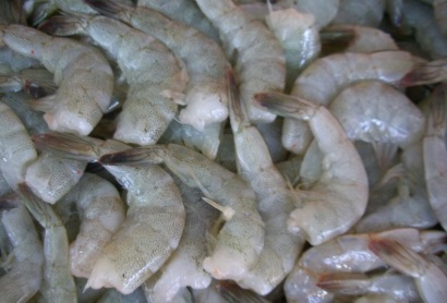 tôm thẻ chân trắng