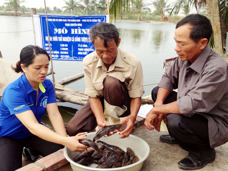 mô hình cá bống tượng