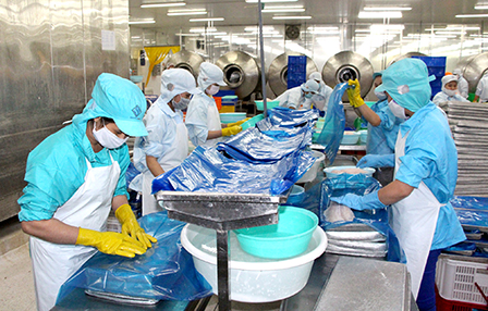 chế biến cá tra