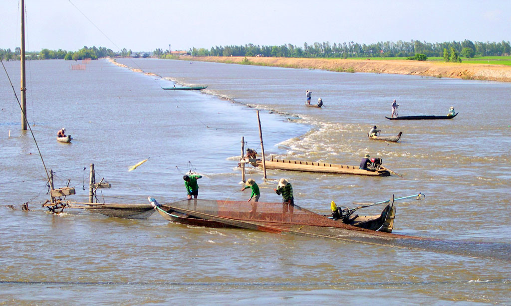 Người miền Tây mở đồng đón lũ