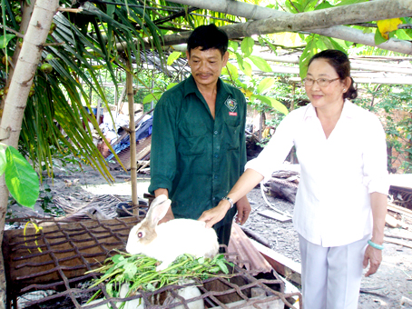 mô hình chăn nuôi