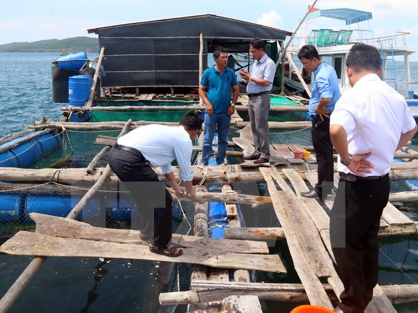 mô hình nuôi cá bè